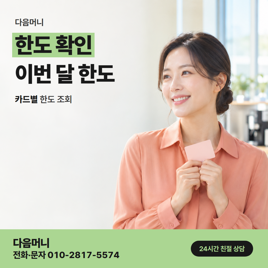 다음머니 나주카드깡 카드사 앱 한도 조회 화면